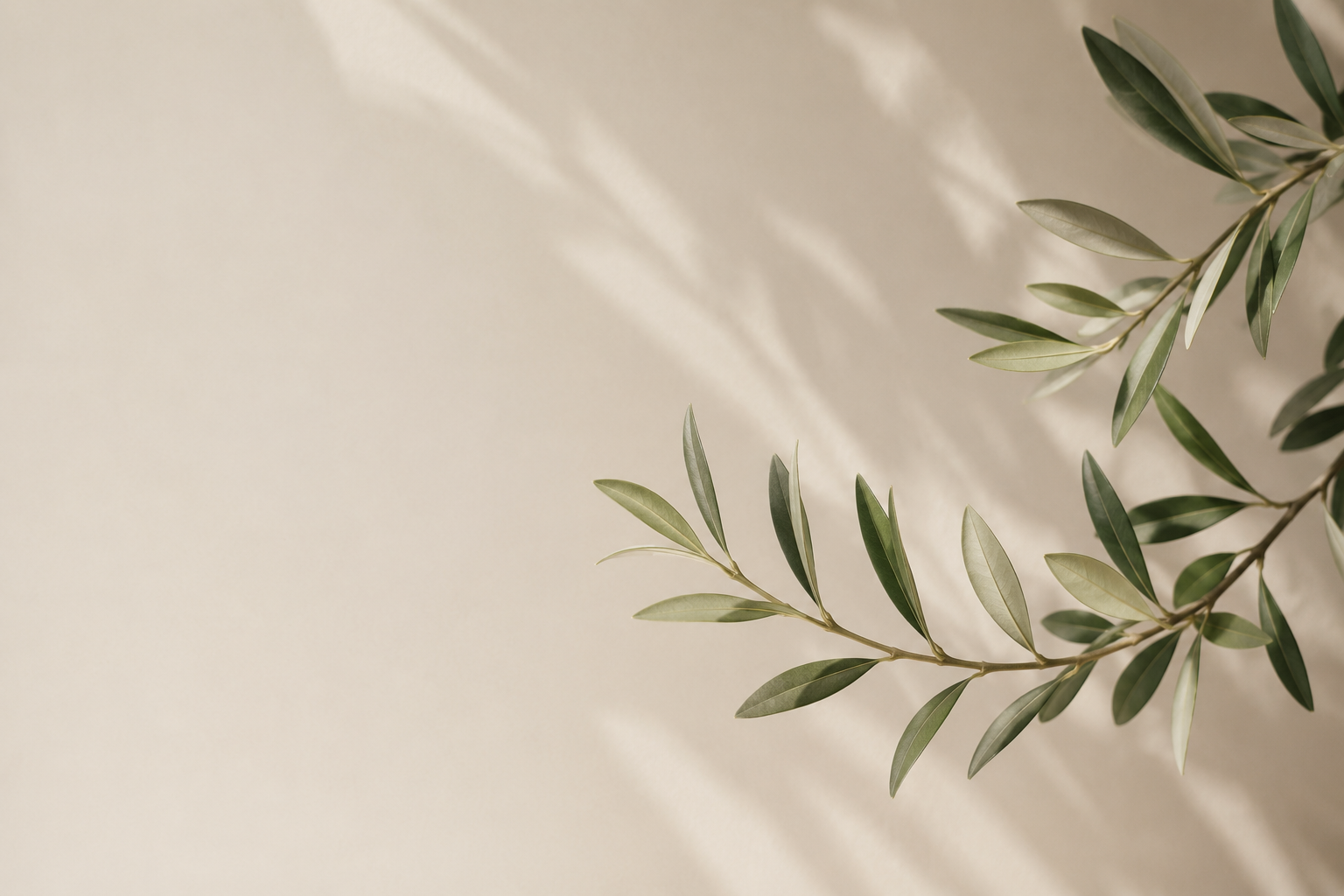 Moon Line Cosmetics — shop our natural beauty collection